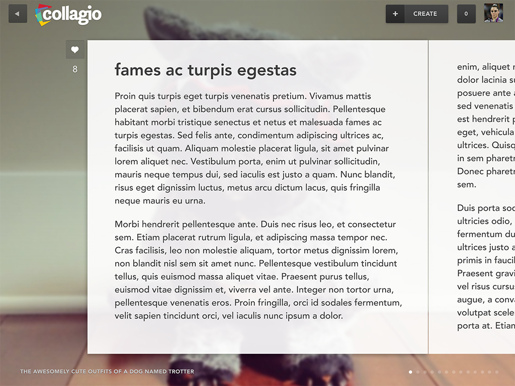 Collagio 3